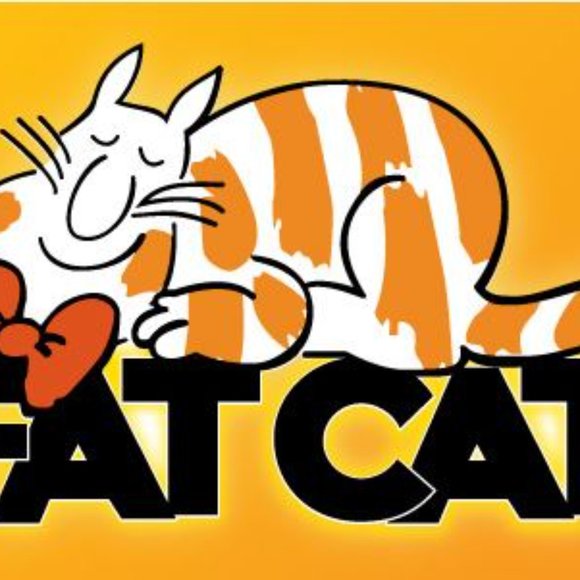 Vintage 1980s Credit Union FAT CAT Plush Stuffed Animal Bank Promotional Money - Picture 2 of 15